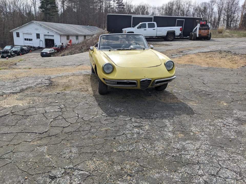 1967 Alfa Romeo Series 1 - Image 6 of 31
