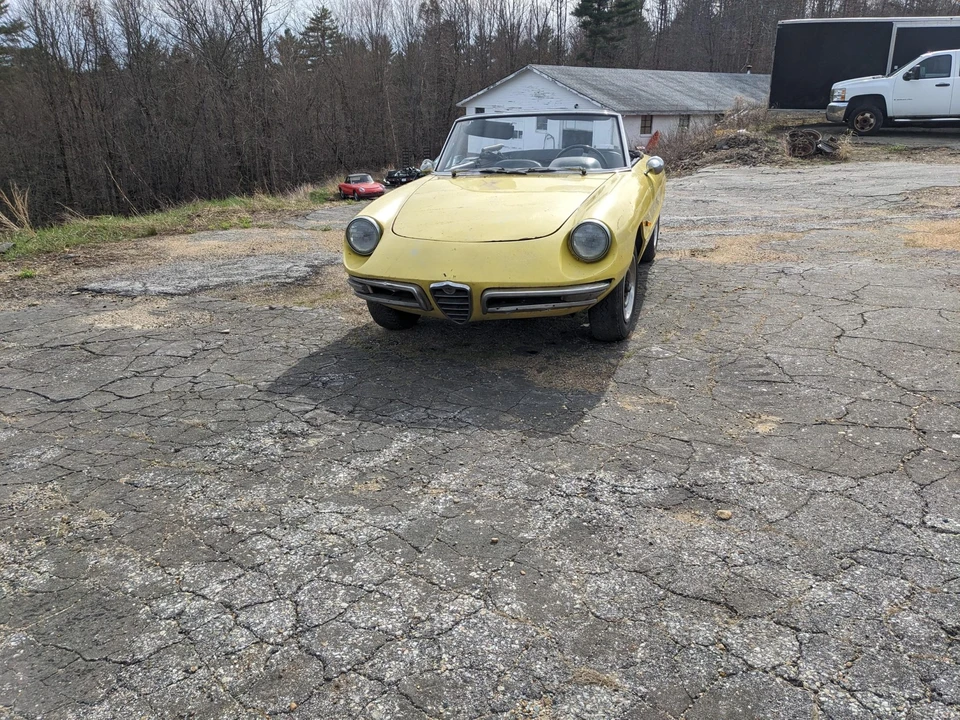 1967 Alfa Romeo Series 1 - Image 5 of 31