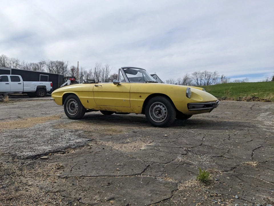 1967 Alfa Romeo Series 1 - Image 11 of 31