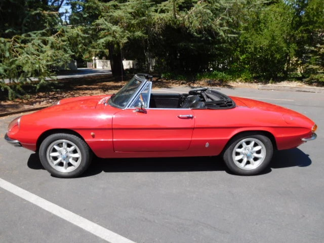 1967 Alfa Romeo Series 1 - Image 5 of 31