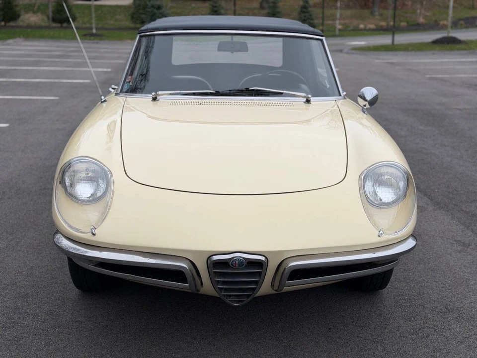 1967 Alfa Romeo Series 1 - Image 2 of 31