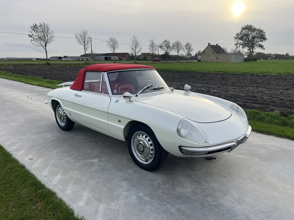 1967 Alfa Romeo Series 1 - Image 9 of 30