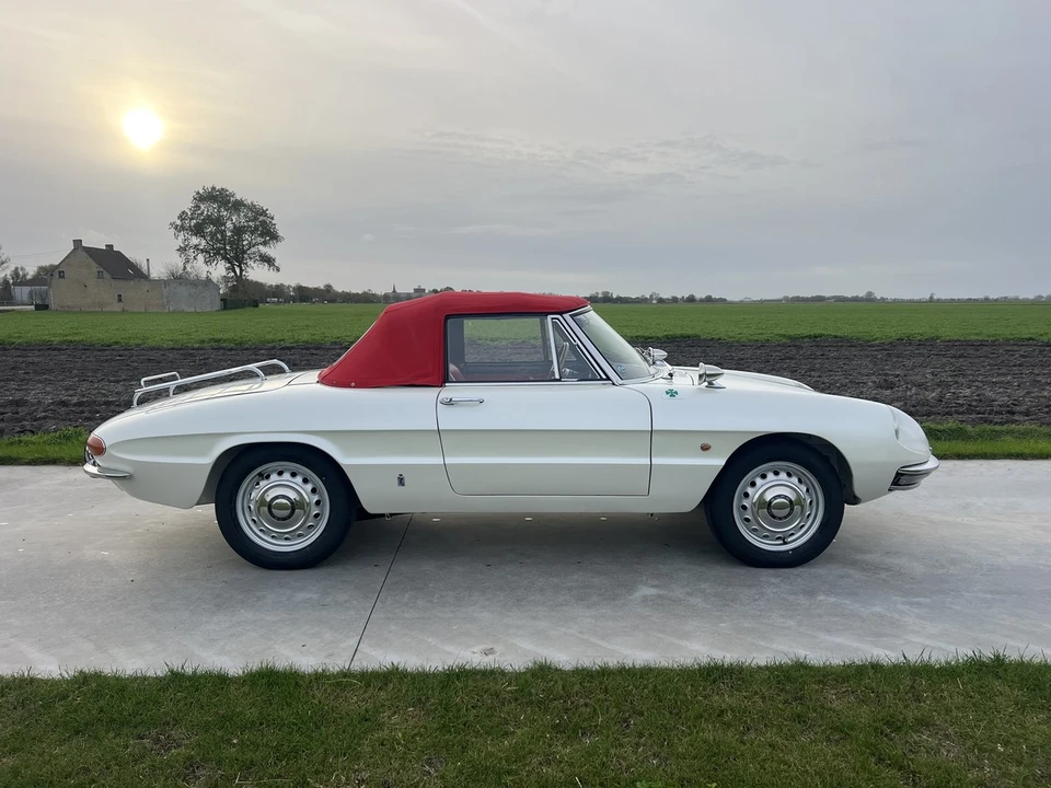 1967 Alfa Romeo Series 1 - Image 8 of 30
