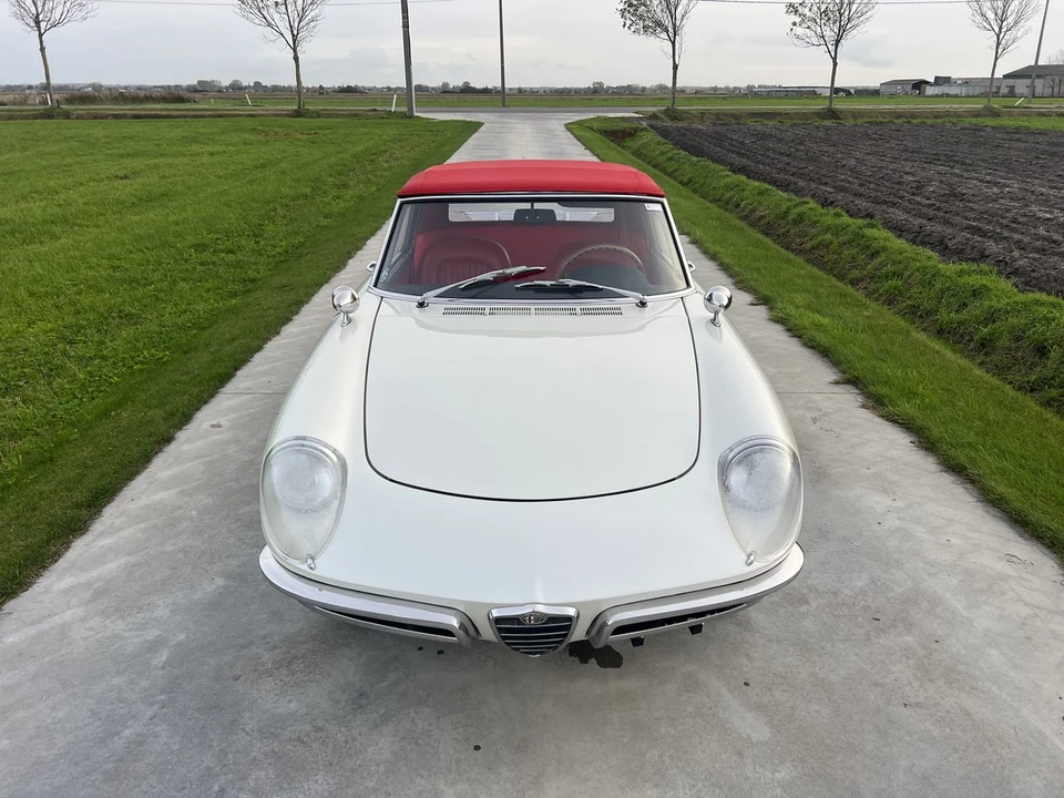 1967 Alfa Romeo Series 1 - Image 2 of 30