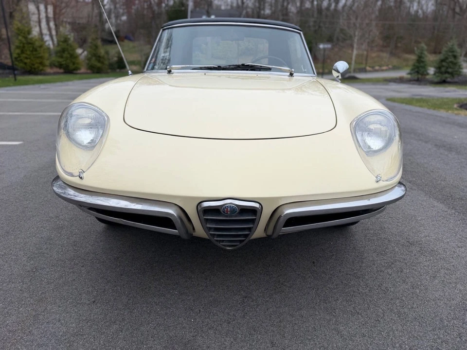 1967 Alfa Romeo Series 1 - Image 16 of 31