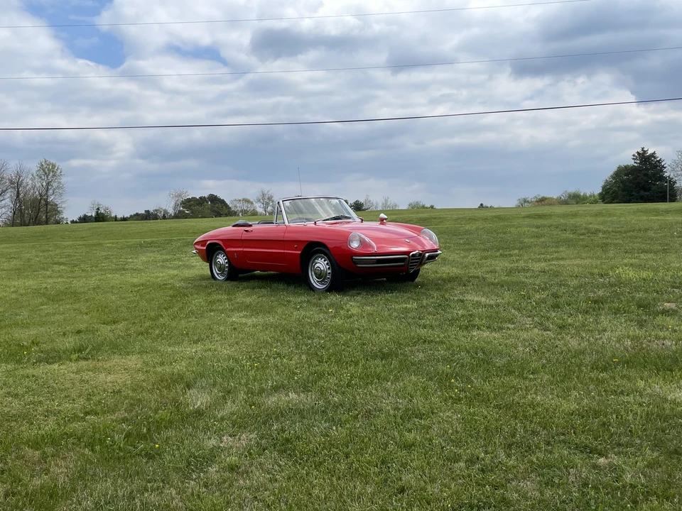 1967 Alfa Romeo Series 1 - Image 15 of 31