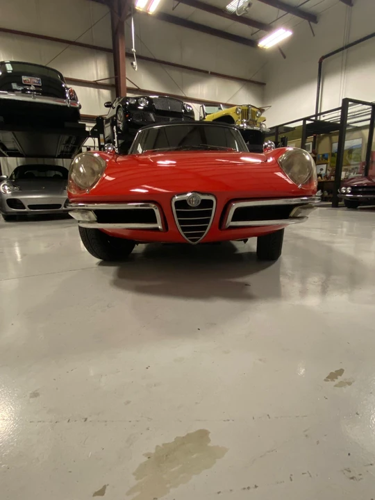 1967 Alfa Romeo Series 1 - Image 24 of 31