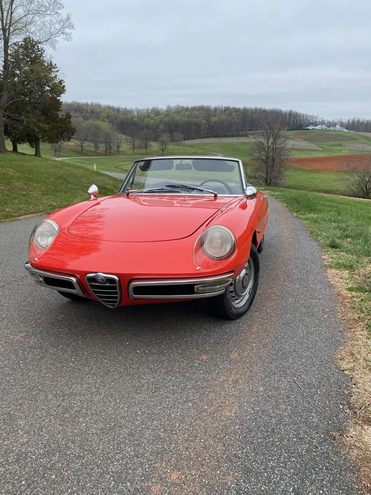 1967 Alfa Romeo Series 1 - Image 14 of 31