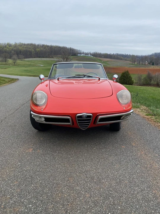 1967 Alfa Romeo Series 1 - Image 15 of 31