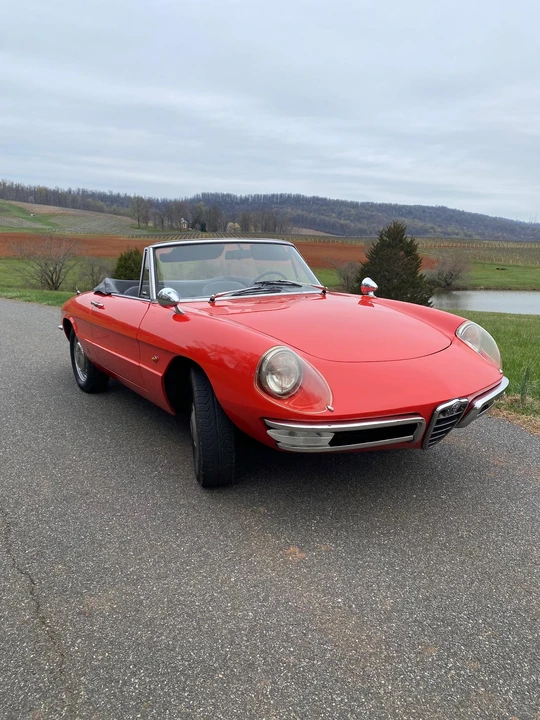 1967 Alfa Romeo Series 1 - Image 16 of 31