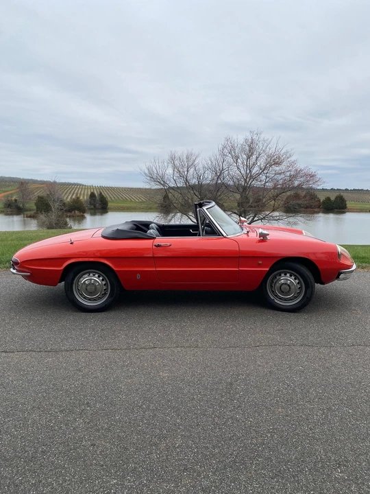 1967 Alfa Romeo Series 1 - Image 17 of 31
