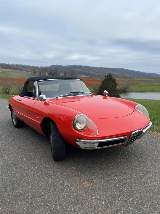 1967 Alfa Romeo Series 1 - Image 4 of 31