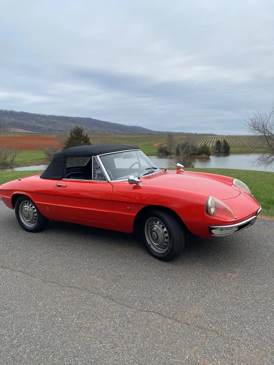 1967 Alfa Romeo Series 1 - Image 5 of 31