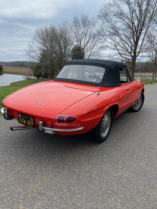 1967 Alfa Romeo Series 1 - Image 8 of 31