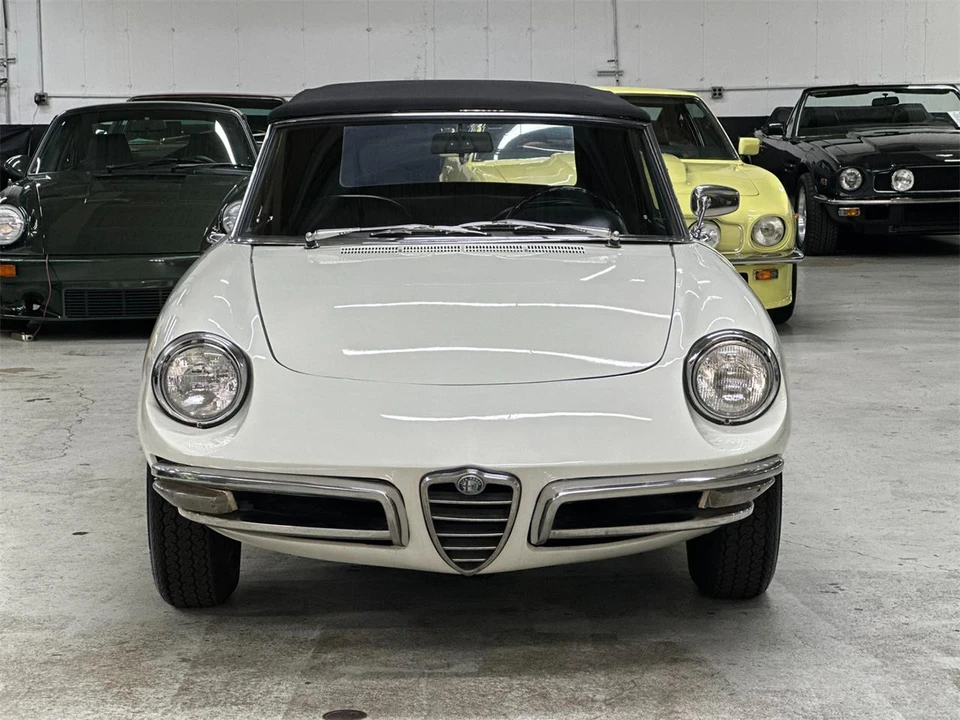 1967 Alfa Romeo Series 1 - Image 4 of 31