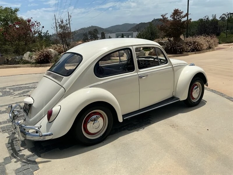 1967 Volkswagen Beetle (1958-1979) - Image 11 of 24
