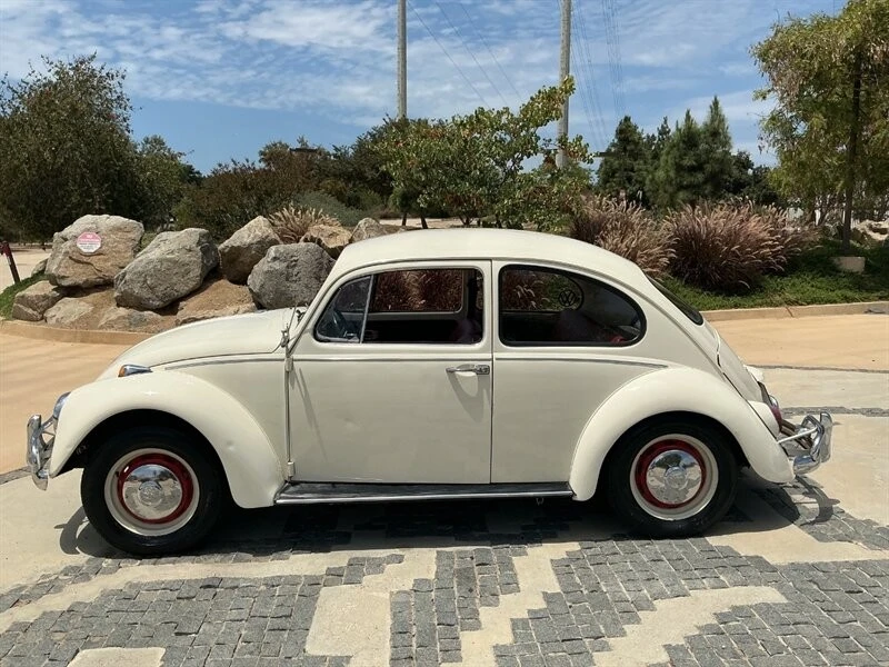 1967 Volkswagen Beetle (1958-1979) - Image 6 of 24