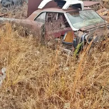 1967 Chevrolet Chevelle