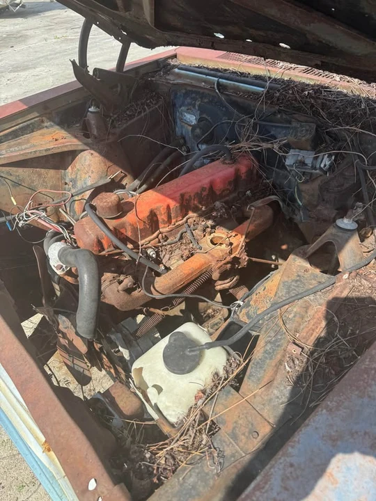1967 Chevrolet II 2nd Gen - Image 7 of 8