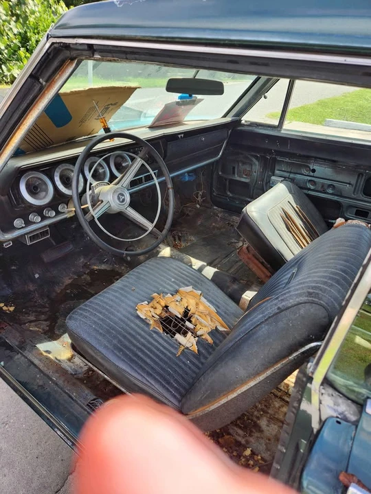 1967 Dodge Charger 1st Gen - Image 5 of 7