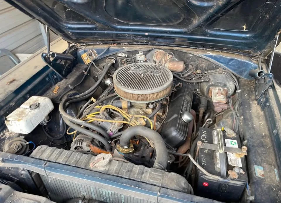 1967 Dodge Charger 1st Gen - Image 4 of 13