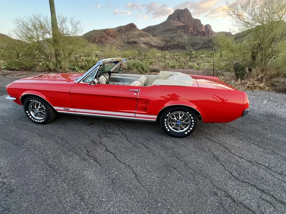 1967 Ford Mustang GT 1st Gen (1965-1968) - Image 14 of 31