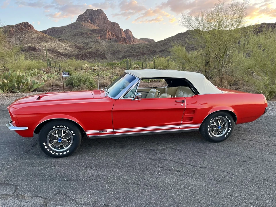 1967 Ford Mustang GT 1st Gen (1965-1968) - Image 15 of 31