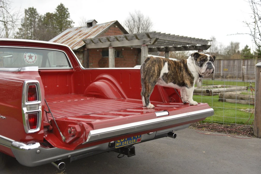 1967 Ford Ranchero 3rd Gen - Image 28 of 31