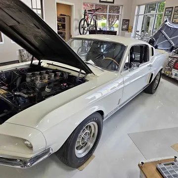 1967 Ford Shelby GT350