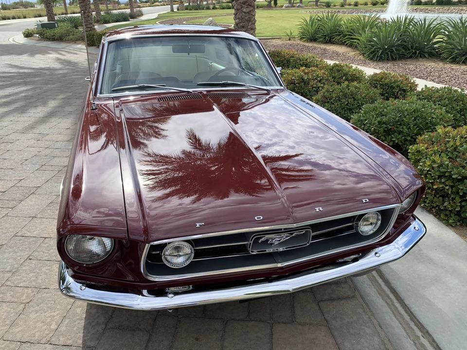 1967 Ford Mustang GT 1st Gen (1965-1968) - Image 14 of 31