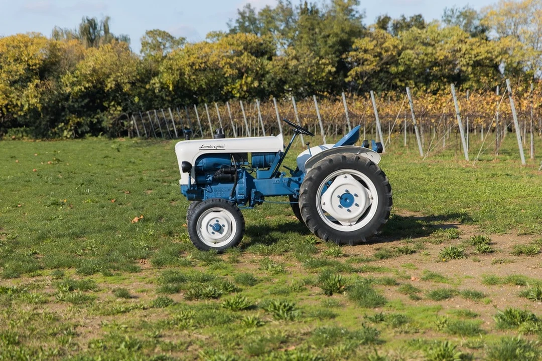 1967 Lamborghini Tractors - Image 5 of 30