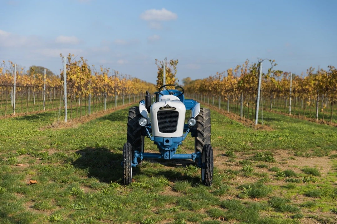 1967 Lamborghini Tractors - Image 2 of 30