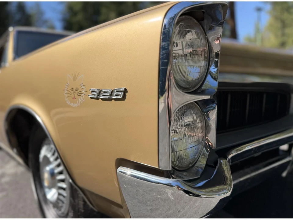 1967 Pontiac LeMans 2nd Gen - Image 19 of 31