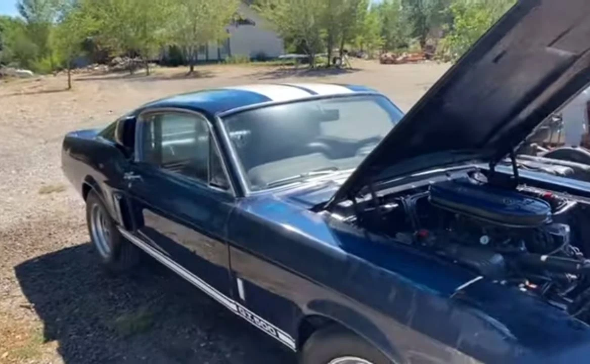 1967 Ford Shelby Mustang - Image 3 of 24