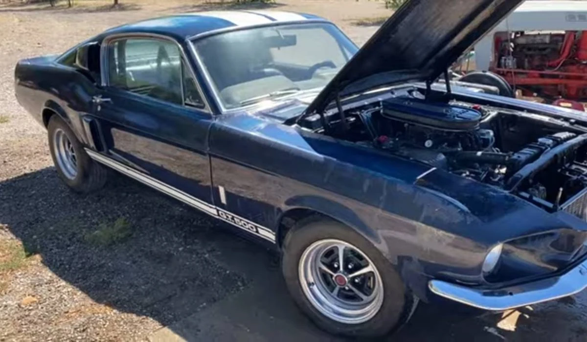 1967 Ford Shelby Mustang - Image 7 of 24