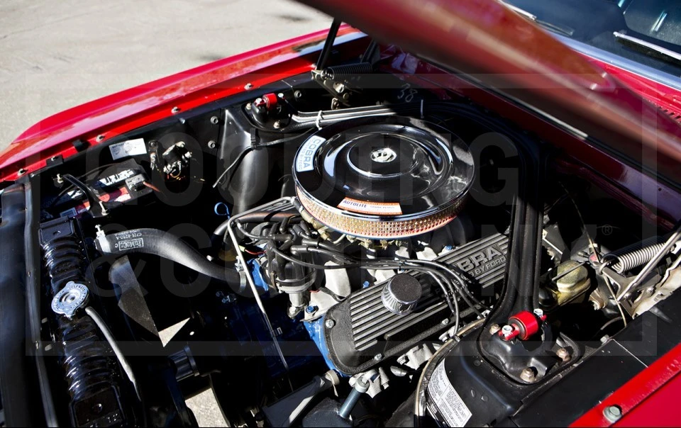 1967 Shelby GT350 - Image 14 of 16