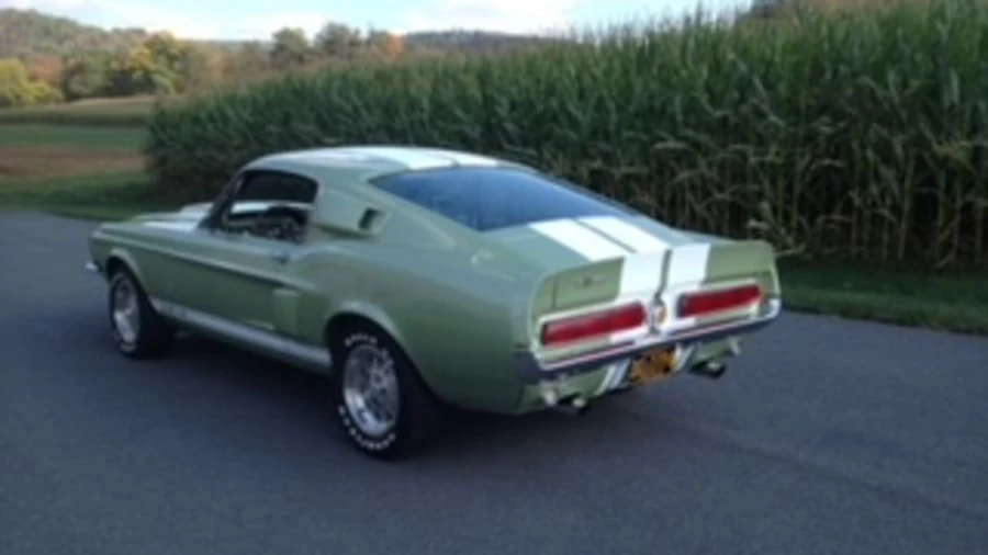 1967 Shelby GT350 - Image 8 of 8