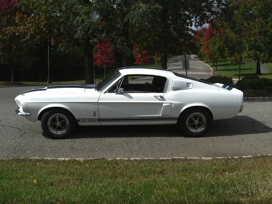 1967 Shelby GT350 - Image 11 of 12