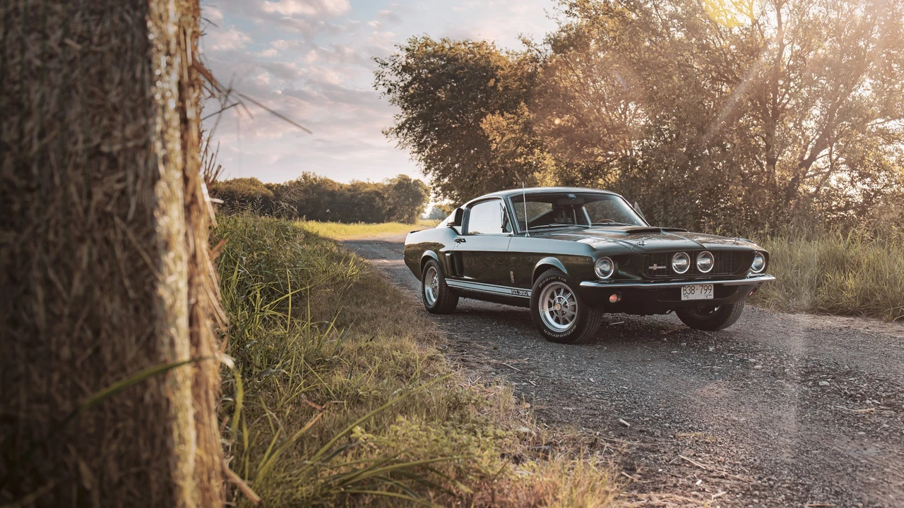 1967 Shelby GT350 - Image 13 of 31
