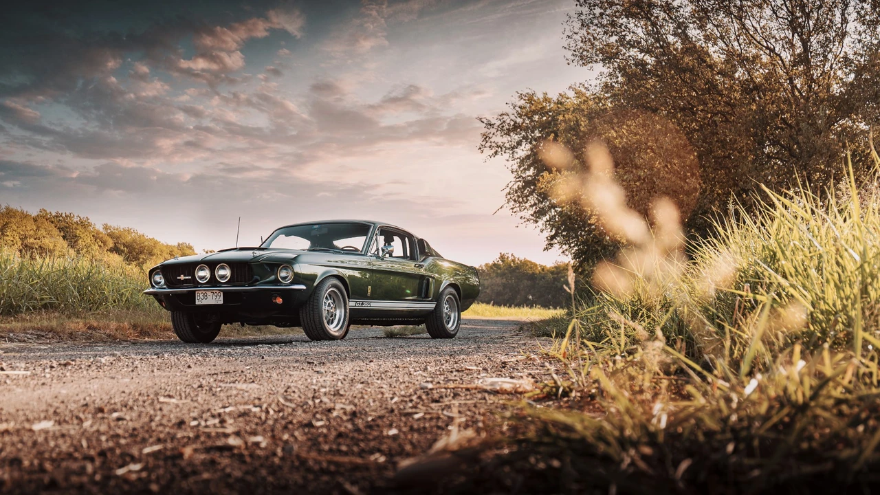 1967 Shelby GT350 - Image 24 of 31