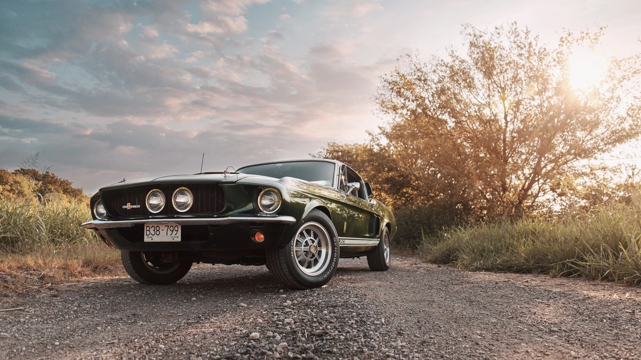 1967 Shelby GT350 - Image 23 of 31
