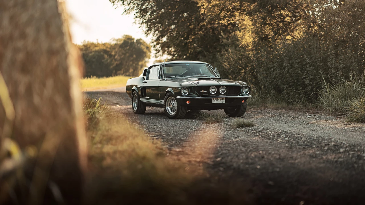 1967 Shelby GT350 - Image 15 of 31