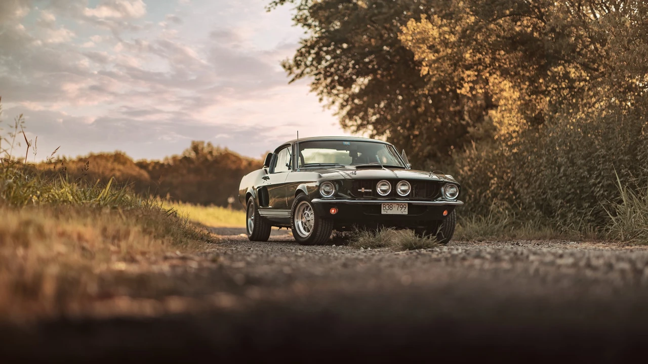 1967 Shelby GT350 - Image 16 of 31
