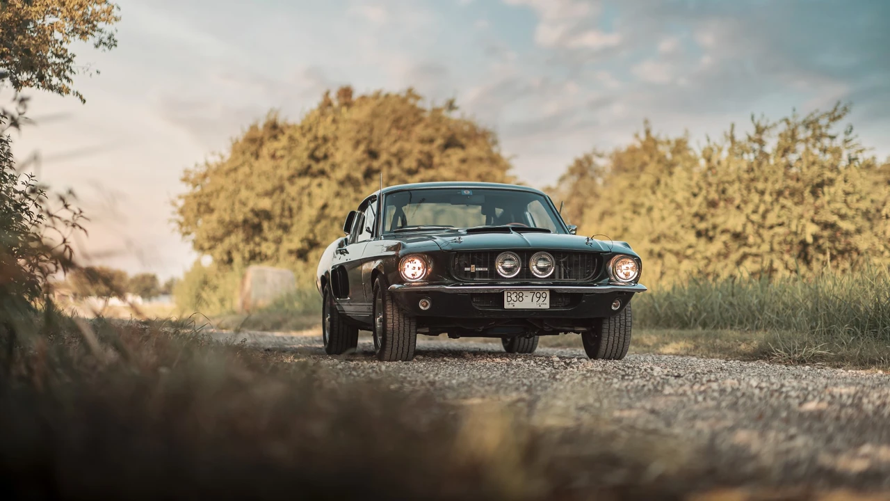 1967 Shelby GT350 - Image 19 of 31