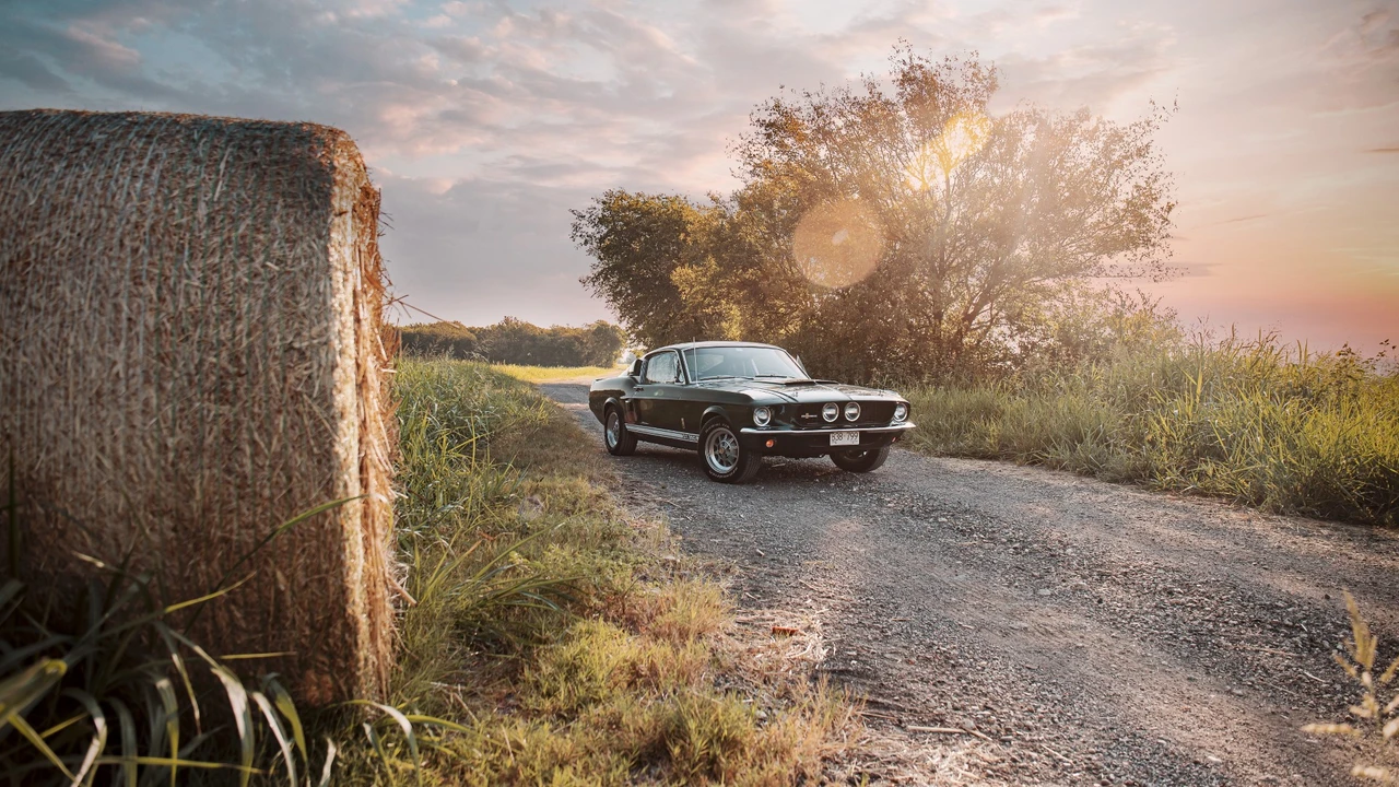 1967 Shelby GT350 - Image 12 of 31