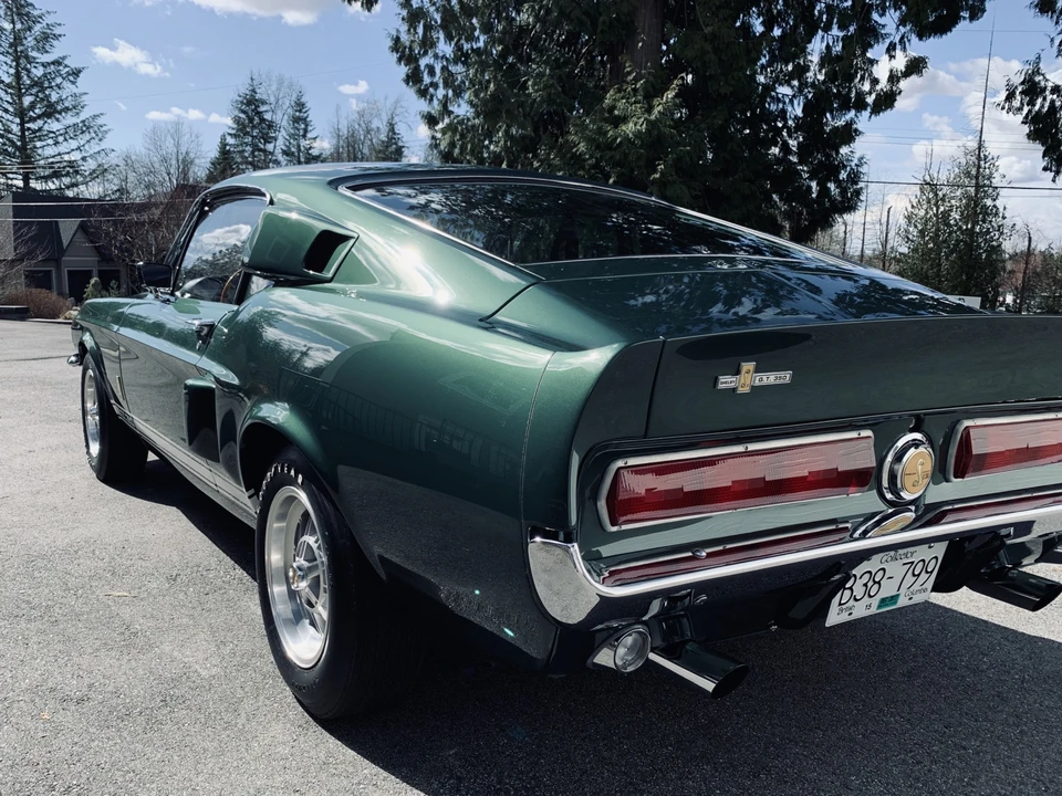 1967 Shelby GT350 - Image 14 of 31