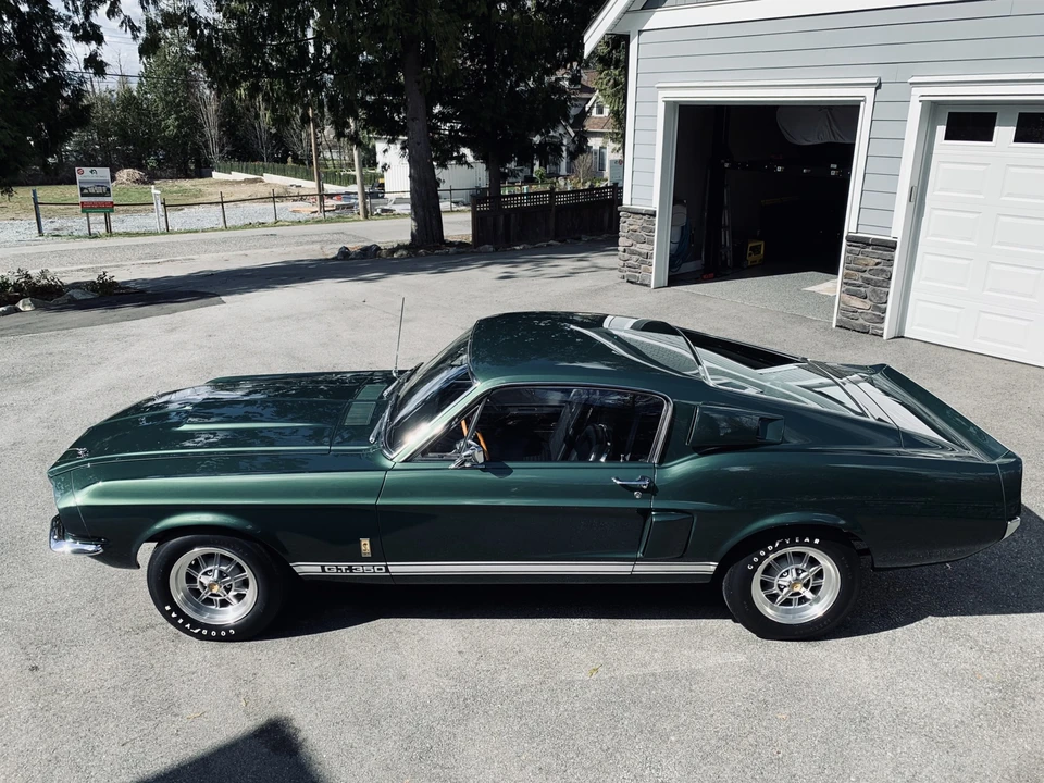 1967 Shelby GT350 - Image 13 of 31