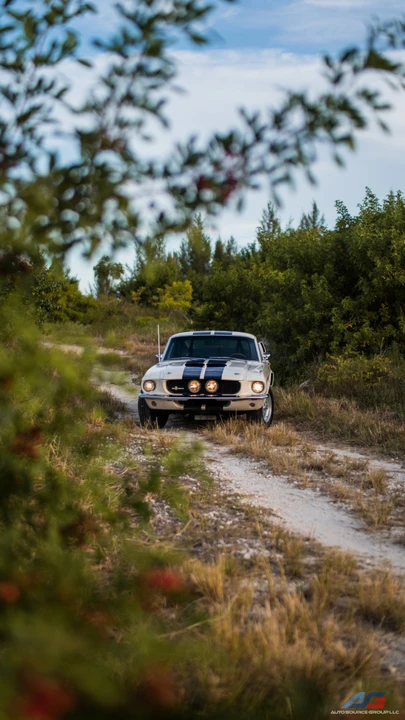 1967 Shelby GT500 - Image 5 of 31
