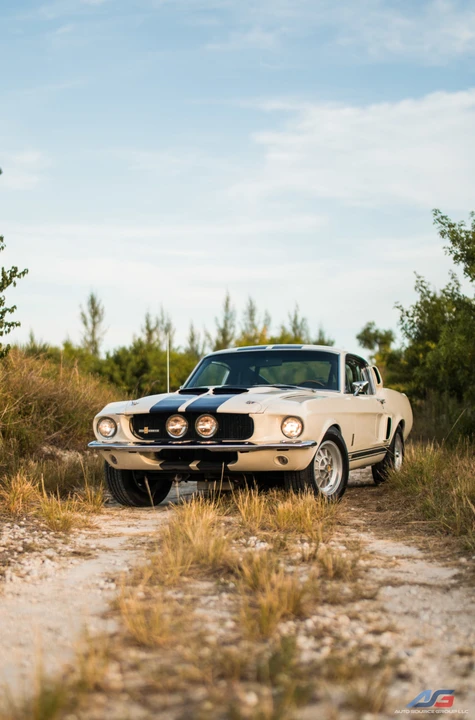 1967 Shelby GT500 - Image 2 of 31