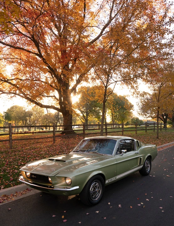 1967 Ford Mustang 1st Gen (1967-1968) - Image 4 of 31
